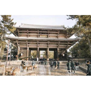 일본 현지인처럼 나라: 맞춤형 가이드 투어 솔직 후기 | 실사용자 리뷰 분석 - 상품 이미지 1