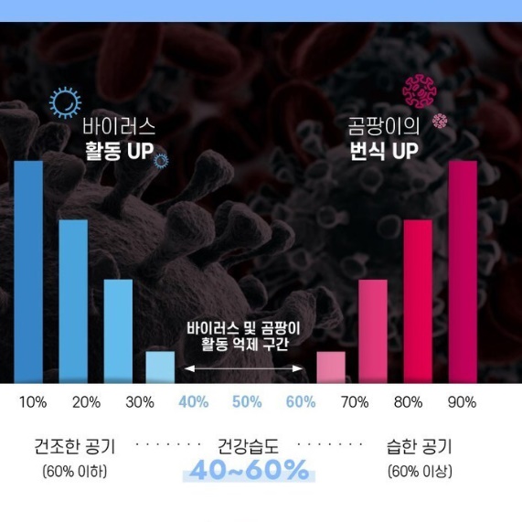신일 대용량 소형 가습기 거실용 청소 쉬운 가습기 거실 가습기
