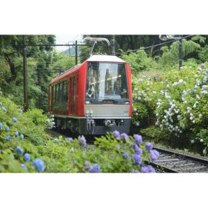 일본 하코네와 가마쿠라: 3일 레일 패스 솔직 후기 | 실사용자 리뷰 분석 - 상품 이미지 1