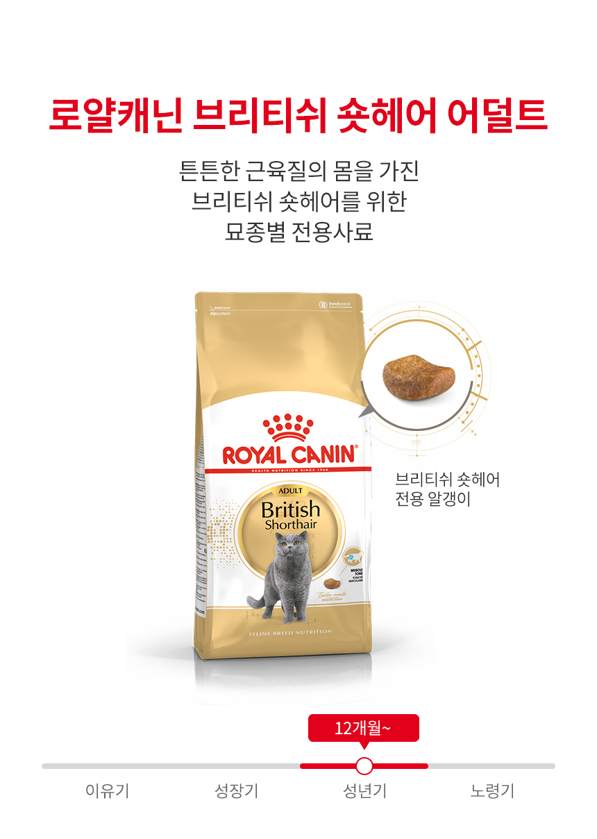 로얄캐닌 캣 브리티쉬 숏헤어, 400g, 1개 - 상세 이미지 3
