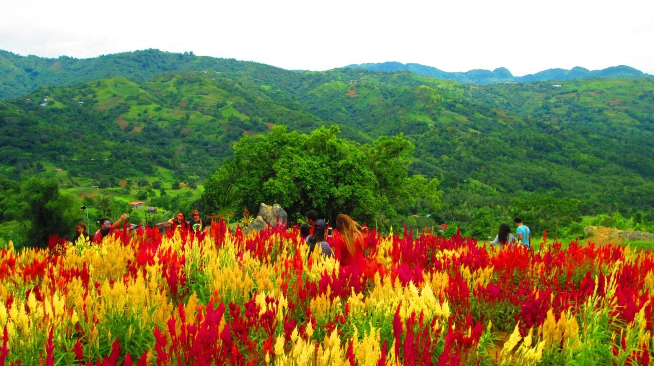 필리핀 세부 시티 프라이빗 일일 투어 (시말라 성당 포함) 이미지 4