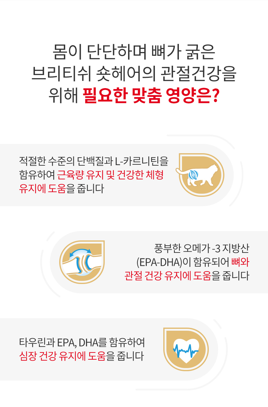로얄캐닌 캣 브리티쉬 숏헤어, 400g, 1개 - 상세 이미지 5