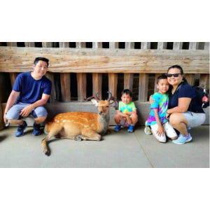 일본 나라 : 점심과 함께 나라 공원 개인 가족 자전거 투어 솔직 후기 | 실사용자 리뷰 분석 - 상품 이미지 4