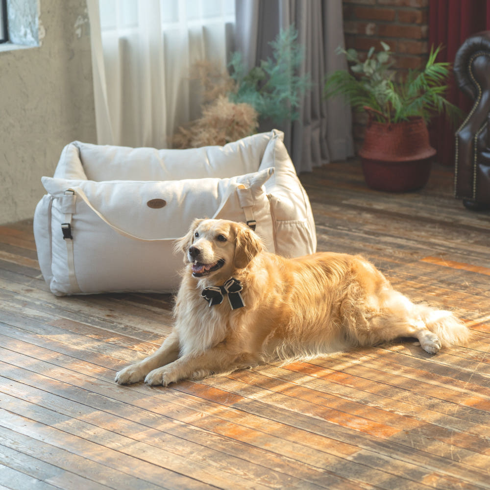 펫테일 바리스타 강아지카시트