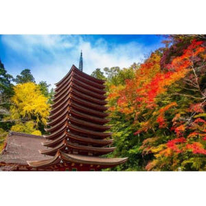 일본 나라: 개인 가이드와 함께하는 개인 투어 솔직 후기 | 실사용자 리뷰 분석 - 상품 이미지 1