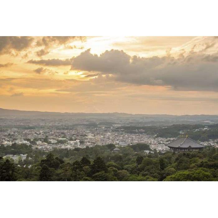 일본 현지인처럼 나라: 맞춤형 가이드 투어 이미지 2