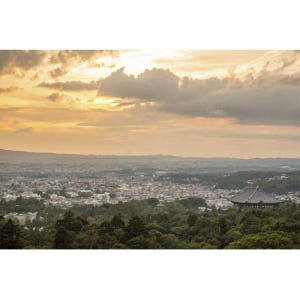 일본 현지인처럼 나라: 맞춤형 가이드 투어 솔직 후기 | 실사용자 리뷰 분석 - 상품 이미지 2