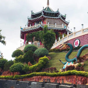 필리핀 세부 & 막탄 프라이빗 투어 솔직 후기 | 실사용자 리뷰 분석 - 상품 이미지 4