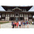 일본 나라 : 반나절 유네스코 문화 유산 및 지역 문화 워킹 투어 솔직 후기 | 실사용자 리뷰 분석 썸네일
