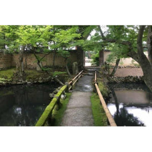 일본 나라 : 반나절 유네스코 문화 유산 및 지역 문화 워킹 투어 솔직 후기 | 실사용자 리뷰 분석 - 상품 이미지 3