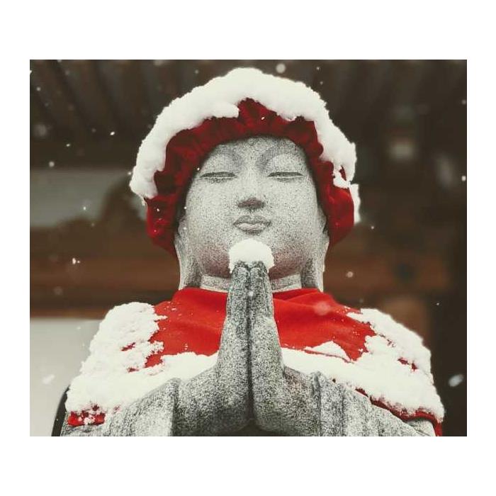 일본 나가노: 눈 원숭이, 젠코지 & 사케 당일치기 여행 이미지 4