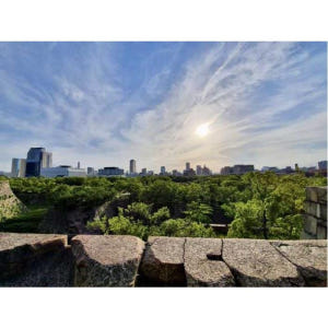 일본 오사카: 하이라이트 & 숨겨진 보석 프라이빗 워킹 투어 솔직 후기 | 실사용자 리뷰 분석 - 상품 이미지 3