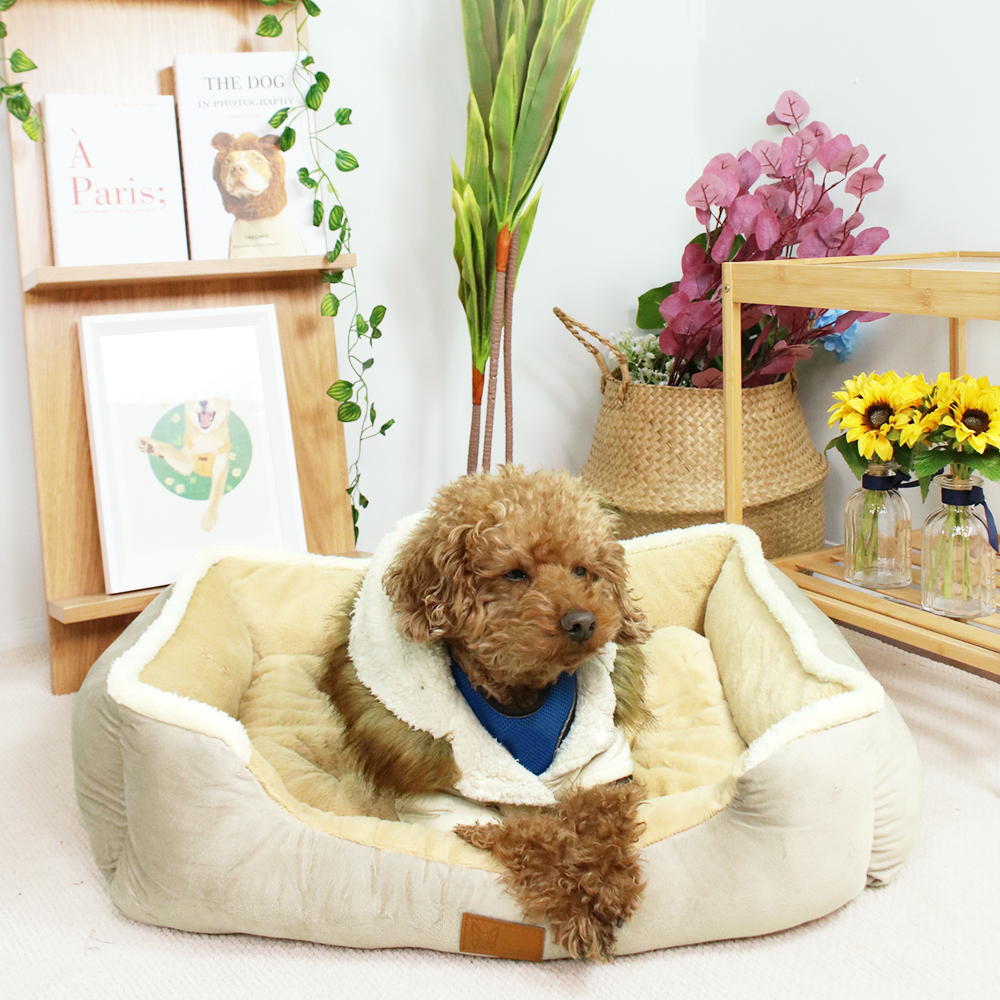 개과천선 멜리퐁 강아지 사각 쿠션 애견 방석 꿀잠 초극세사 털 침대 사계절 고양이 베이지 - 상세 이미지 5