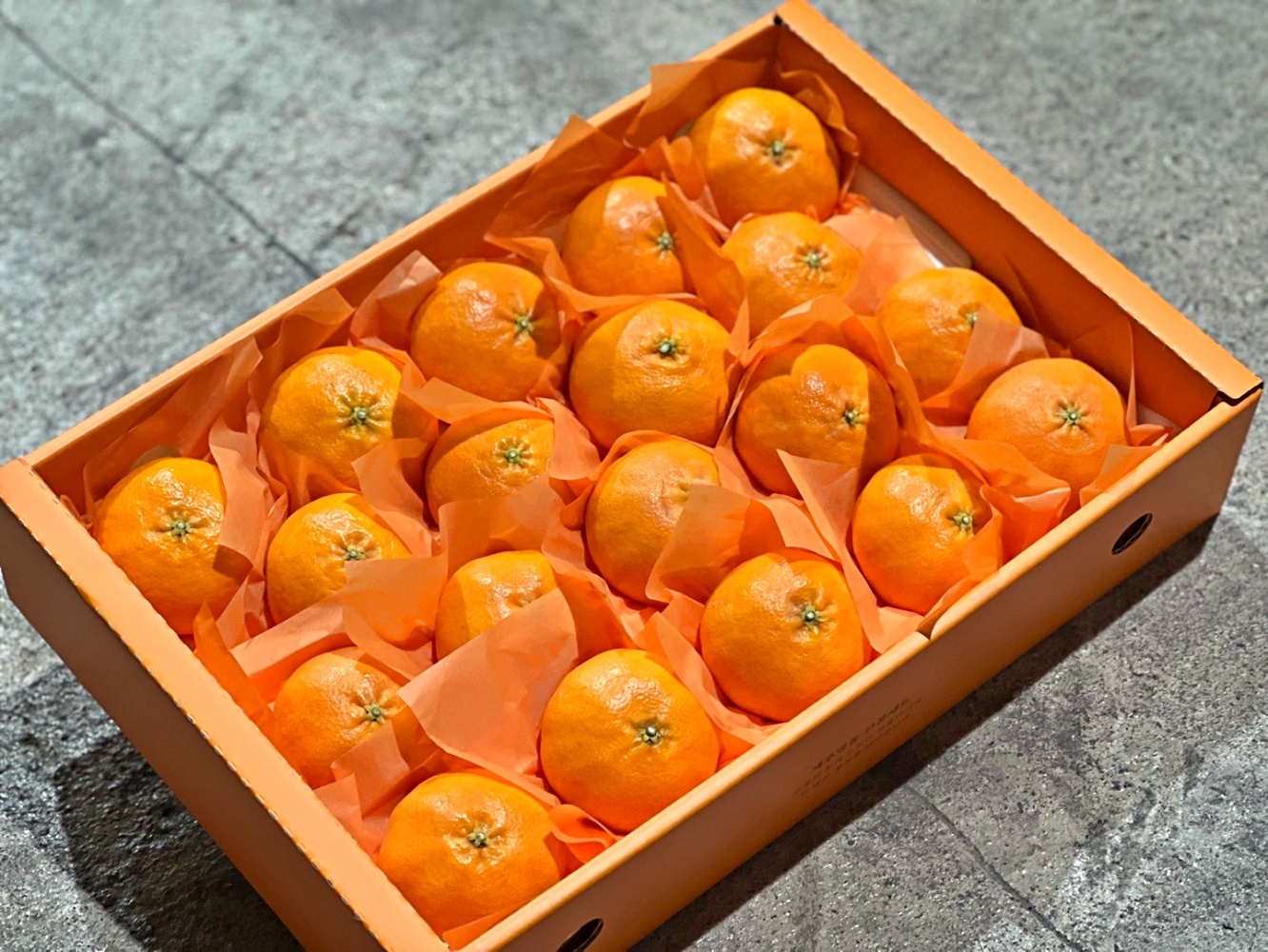 레드향 2kg 3kg 5kg 소과 중과 대과 특품 선물용 선물세트 제주 산지직송 - 상품 이미지