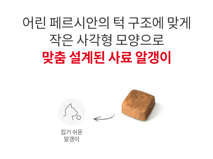 [유통기한 2026.12.23] 로얄캐닌 캣 페르시안 키튼, 2kg, 1개