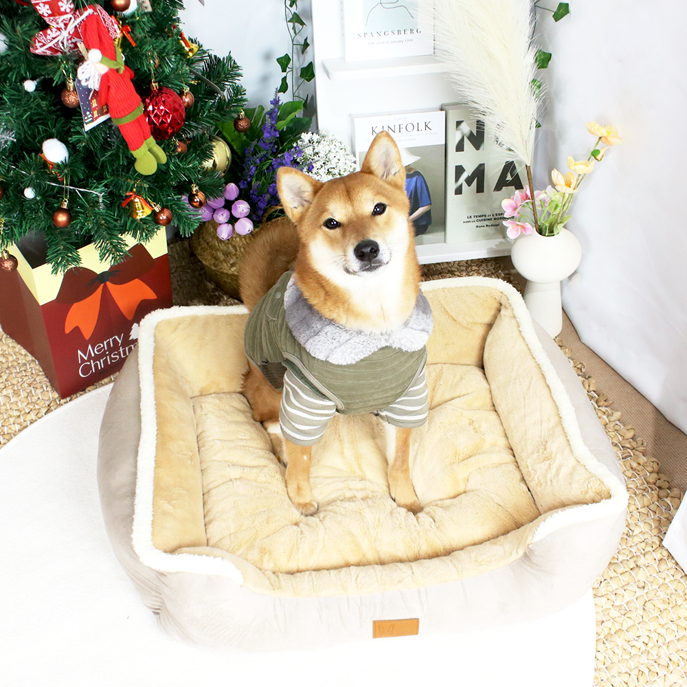 개과천선 멜리퐁 강아지 사각 쿠션 애견 방석 꿀잠 초극세사 털 침대 사계절 고양이 베이지 - 메인 이미지