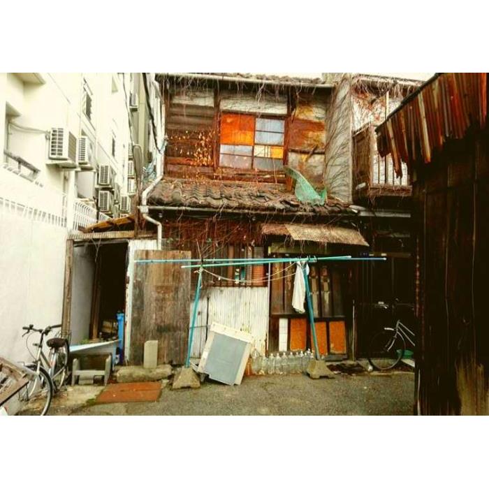 일본 딥 백스트리트 오사카 투어(저녁 식사 포함) 이미지 4