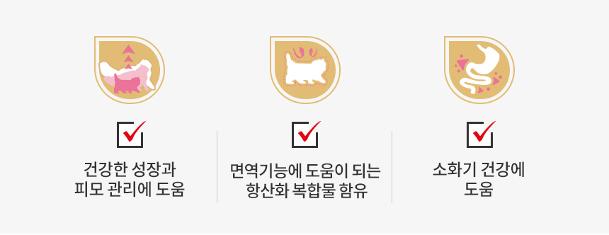 [유통기한 2026.12.23] 로얄캐닌 캣 페르시안 키튼, 2kg, 1개