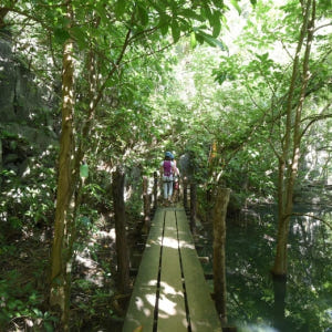 필리핀 엘 니도 비아 페라타 티켓 (캐노피 워크 전망대 & 드림캐쳐) (... 솔직 후기 | 실사용자 리뷰 분석 - 상품 이미지 1