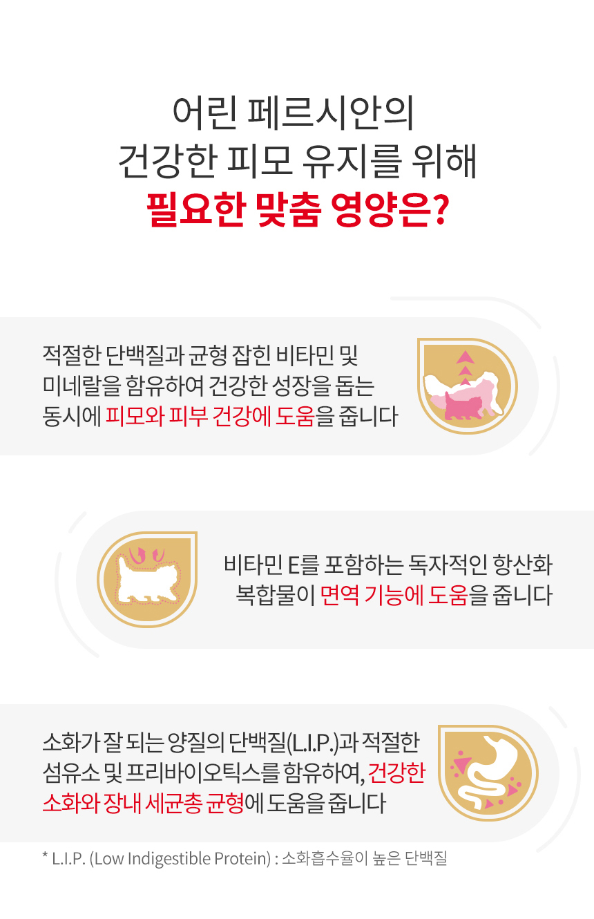 [유통기한 2026.12.23] 로얄캐닌 캣 페르시안 키튼, 2kg, 1개