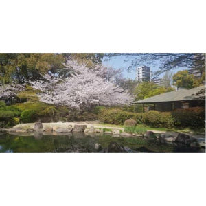 일본 오사카 : 개인 차량으로 하루 종일 관광 투어 솔직 후기 | 실사용자 리뷰 분석 - 상품 이미지 2