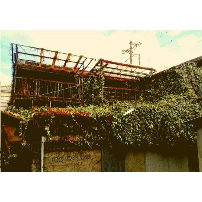 일본 딥 백스트리트 오사카 투어(저녁 식사 포함) 이미지 2