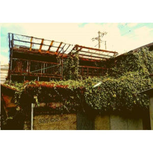 일본 딥 백스트리트 오사카 투어(저녁 식사 포함) 솔직 후기 | 실사용자 리뷰 분석 - 상품 이미지 2