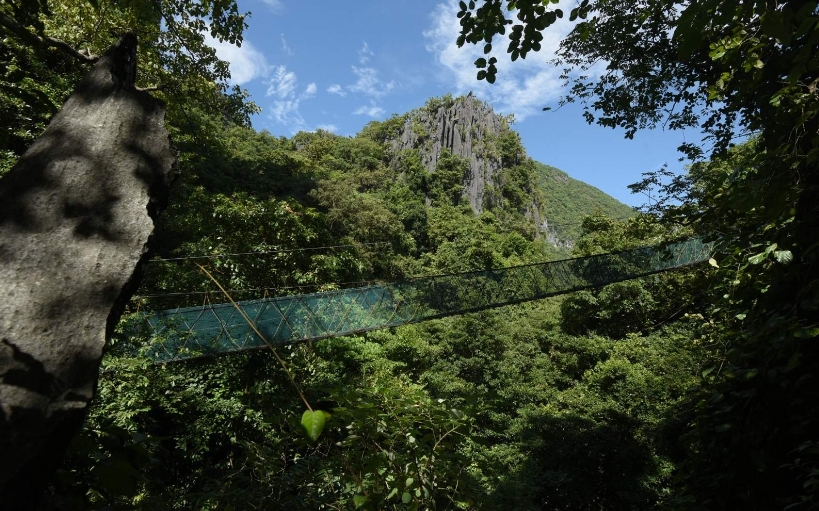 필리핀 엘 니도 비아 페라타 티켓 (캐노피 워크 전망대 & 드림캐쳐) (상품 페이지 Google 번역됨) 이미지 3