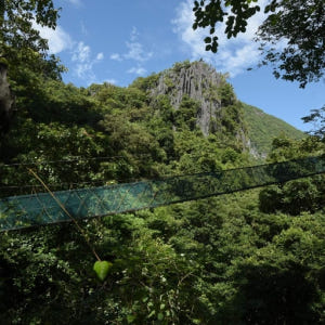 필리핀 엘 니도 비아 페라타 티켓 (캐노피 워크 전망대 & 드림캐쳐) (... 솔직 후기 | 실사용자 리뷰 분석 - 상품 이미지 3