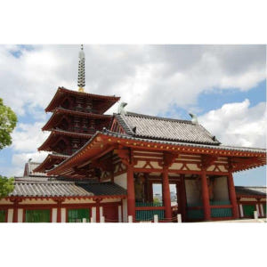 일본 오사카 : 개인 차량으로 하루 종일 관광 투어 솔직 후기 | 실사용자 리뷰 분석 - 상품 이미지 4