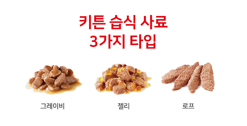 로얄캐닌 캣 키튼 그레이비, 85g, 12개 - 상세 이미지 4