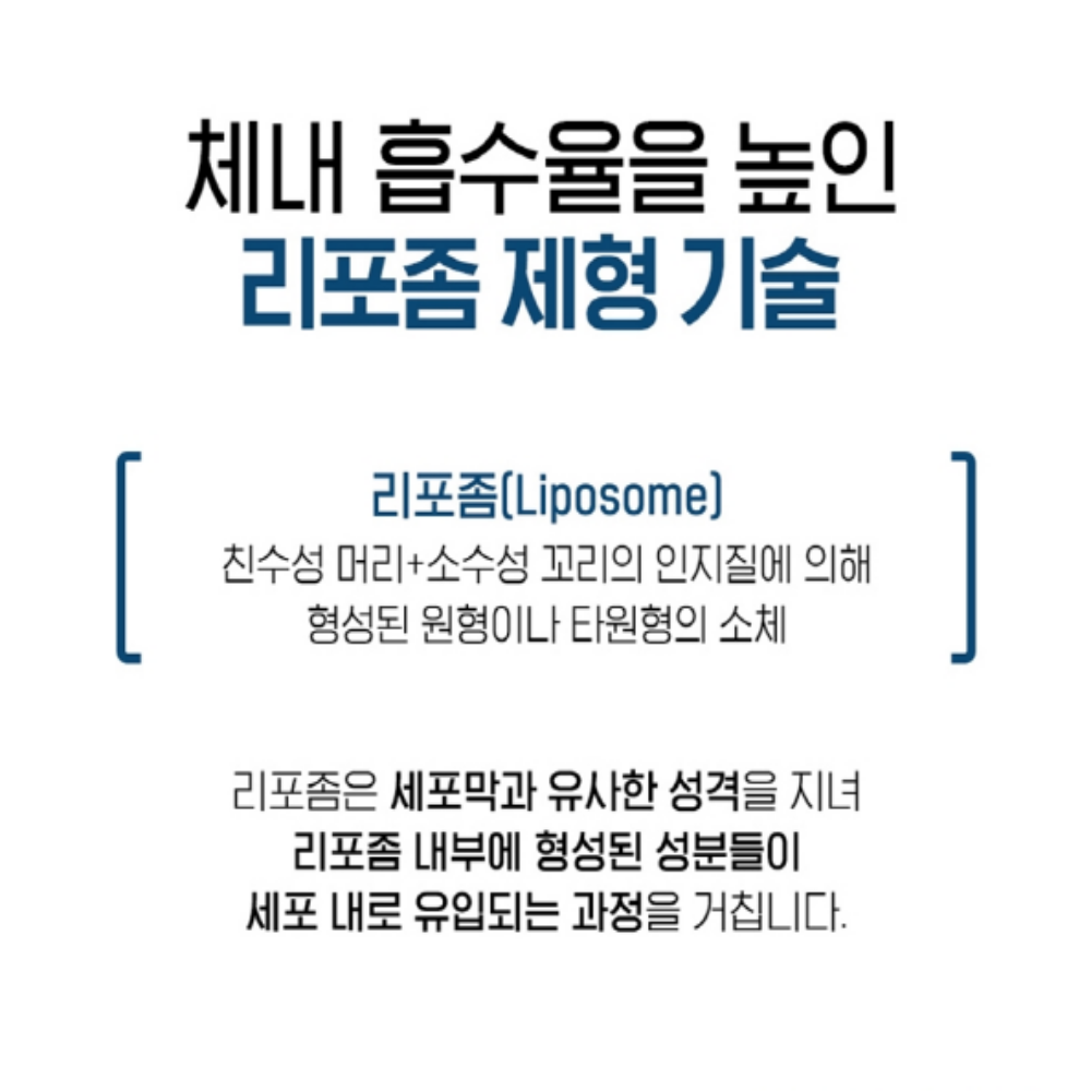 리포좀 비타민C 고함량 비타민씨 리포조말 식물성캡슐 - 상세 이미지 5