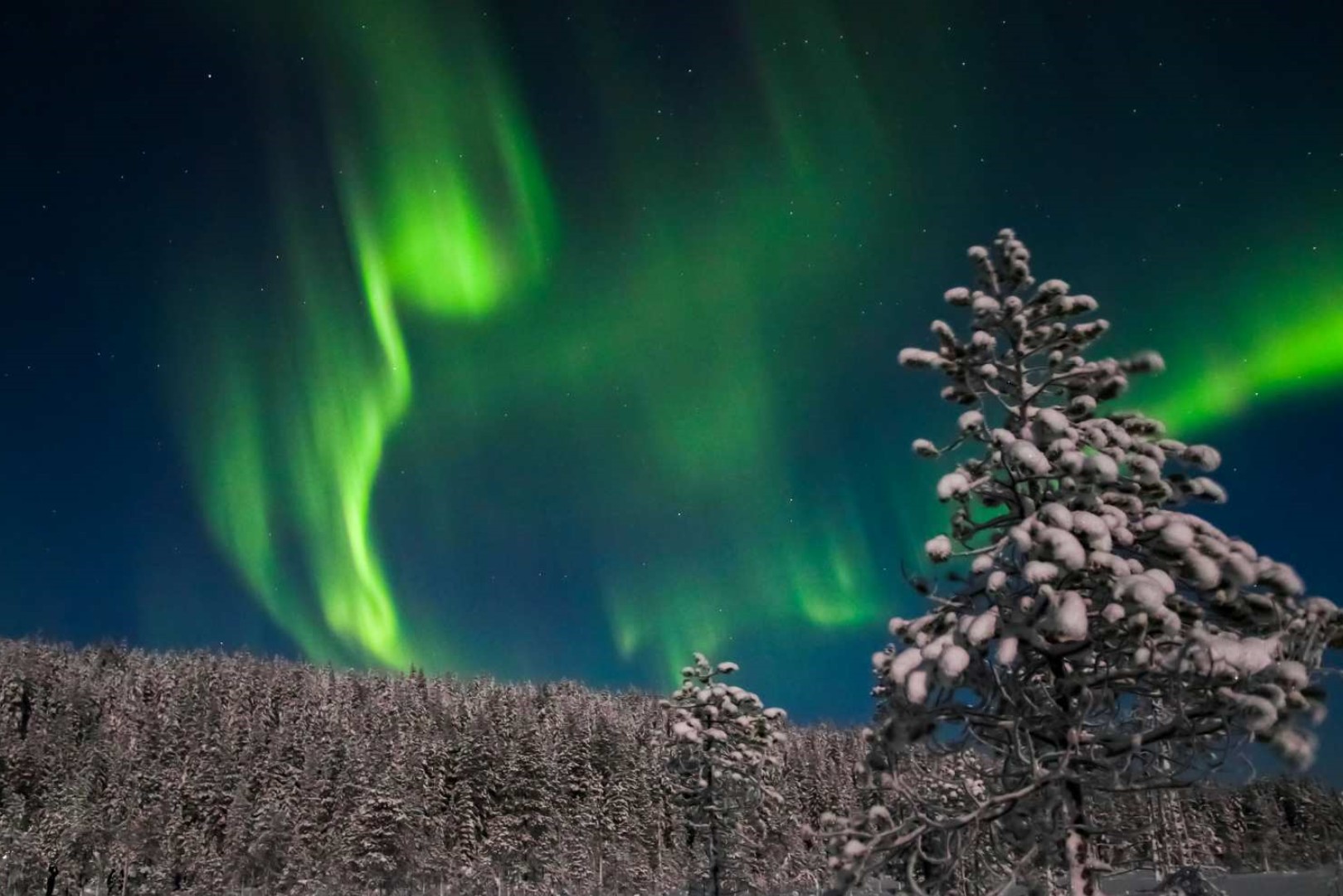 핀란드 로바니에미 오로라 피크닉 투어 이미지 3