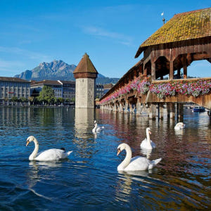 스위스 티틀리스와 루체른 일일 투어 | 취리히에서 솔직 후기 | 실사용자 리뷰 분석 - 상품 이미지 4