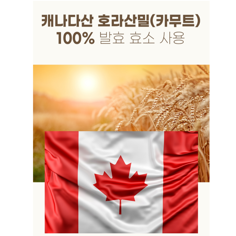 카무트 카뮤트 효소 프리미엄 호라산밀 곡물 효소 2개월분 60정 - 상세 이미지 4