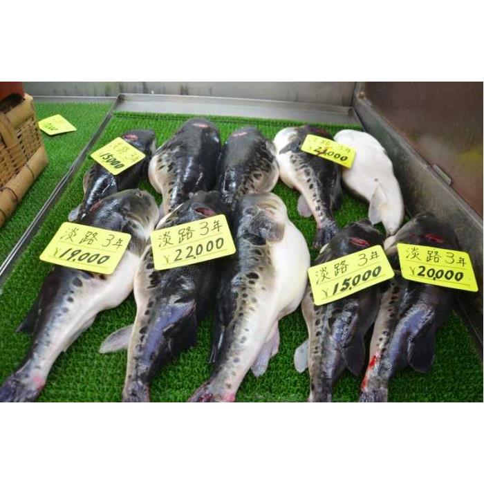 일본 오사카: 시식과 함께하는 구로몬 시장 음식 투어 이미지 3