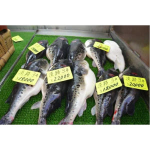 일본 오사카: 시식과 함께하는 구로몬 시장 음식 투어 솔직 후기 | 실사용자 리뷰 분석 - 상품 이미지 3