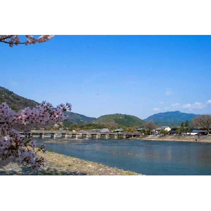 일본 오사카/교토에서 출발하는 교토 및 나라 1일 버스 투어 이미지 2