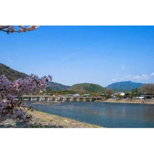 일본 오사카/교토에서 출발하는 교토 및 나라 1일 버스 투어 솔직 후기 | 실사용자 리뷰 분석 - 상품 이미지 2