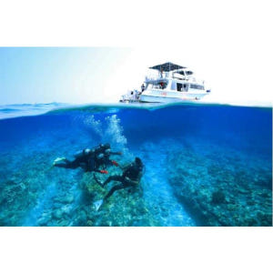 일본 오키나와 나하: 케라마 제도 종일 인트로 다이빙 여행 (한국어 가이... 솔직 후기 | 실사용자 리뷰 분석 - 상품 이미지 2