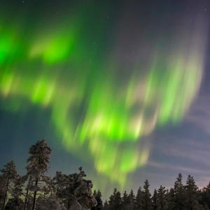 핀란드 로바니에미 오로라 피크닉 투어 솔직 후기 | 실사용자 리뷰 분석 - 상품 이미지 4