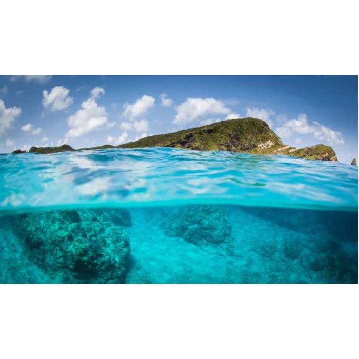 일본 오키나와 나하: 케라마스 섬 스노클링 당일 여행 점심 포함 (한국어 가이드) 이미지 2