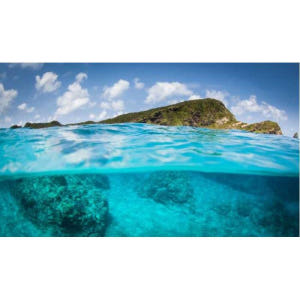 일본 오키나와 나하: 케라마스 섬 스노클링 당일 여행 점심 포함 (한국어... 솔직 후기 | 실사용자 리뷰 분석 - 상품 이미지 2