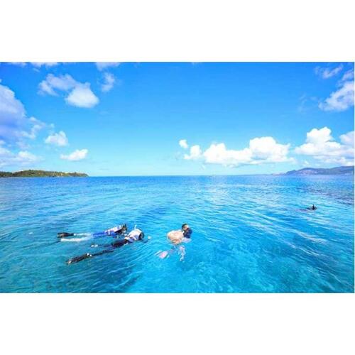 일본 오키나와 나하: 케라마스 섬 스노클링 당일 여행 점심 포함 (한국어... 솔직 후기 | 실사용자 리뷰 분석 - 대표 이미지