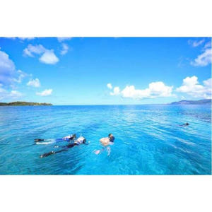 일본 오키나와 나하: 케라마스 섬 스노클링 당일 여행 점심 포함 (한국어... 솔직 후기 | 실사용자 리뷰 분석 - 상품 이미지 1