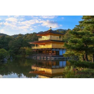 일본 오사카/교토에서 출발하는 교토 및 나라 1일 버스 투어 솔직 후기 | 실사용자 리뷰 분석 - 상품 이미지 1