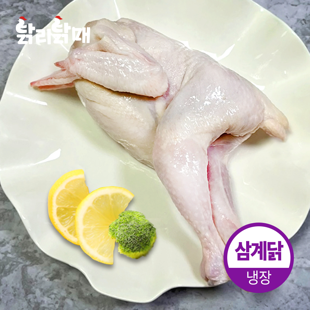 국내산 통 손질 백숙 삼계닭 45호 50호 55호 개별포장 삼계 (냉장/냉동) : 닭리닭매