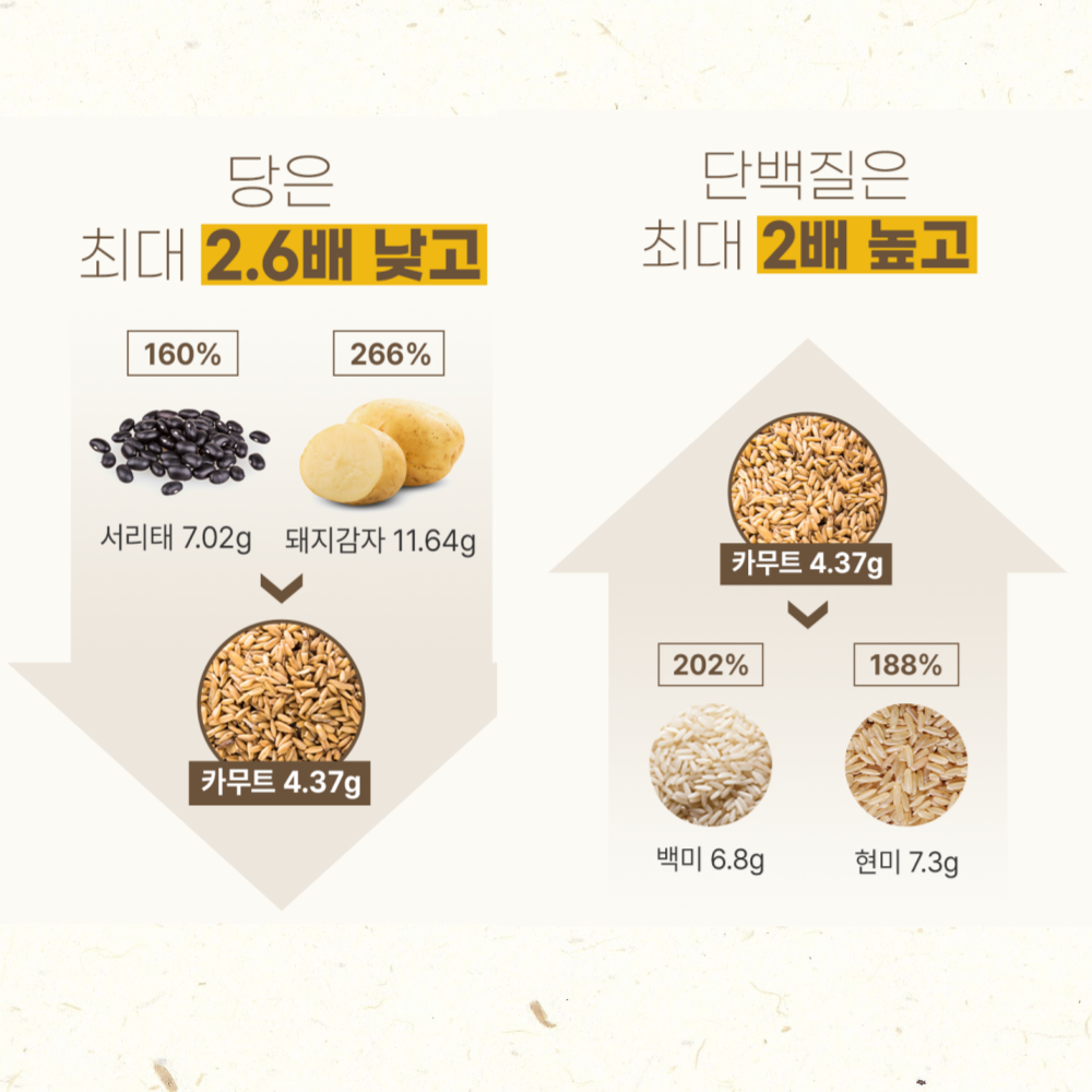 카무트 카뮤트 효소 프리미엄 호라산밀 곡물 효소 2개월분 60정 - 상세 이미지 5