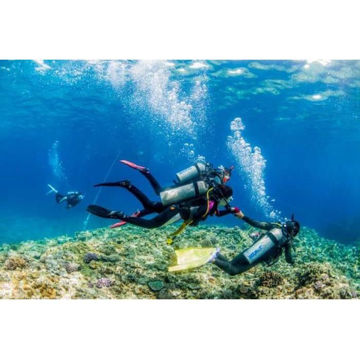 일본 오키나와 나하: 케라마 제도 종일 인트로 다이빙 여행 (한국어 가이드) - 상세 이미지 5