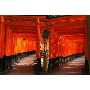 일본 오사카/교토에서 출발하는 교토 및 나라 1일 버스 투어 솔직 후기 | 실사용자 리뷰 분석 - 상품 이미지 4